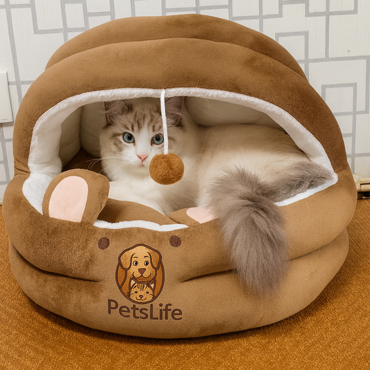 Samtpfoten-Schlafparadies